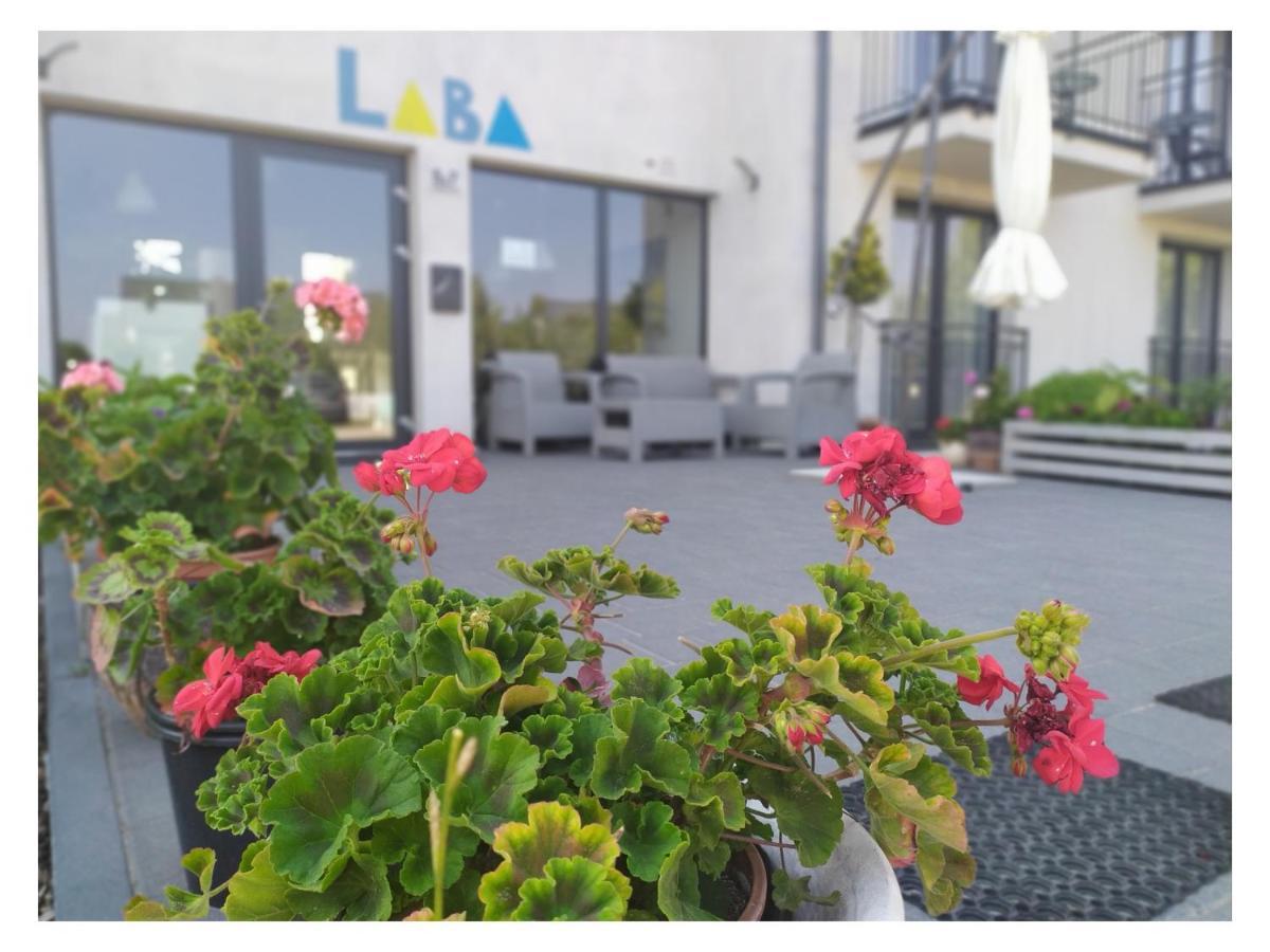 Laba Daire Jastrzębia Góra Dış mekan fotoğraf