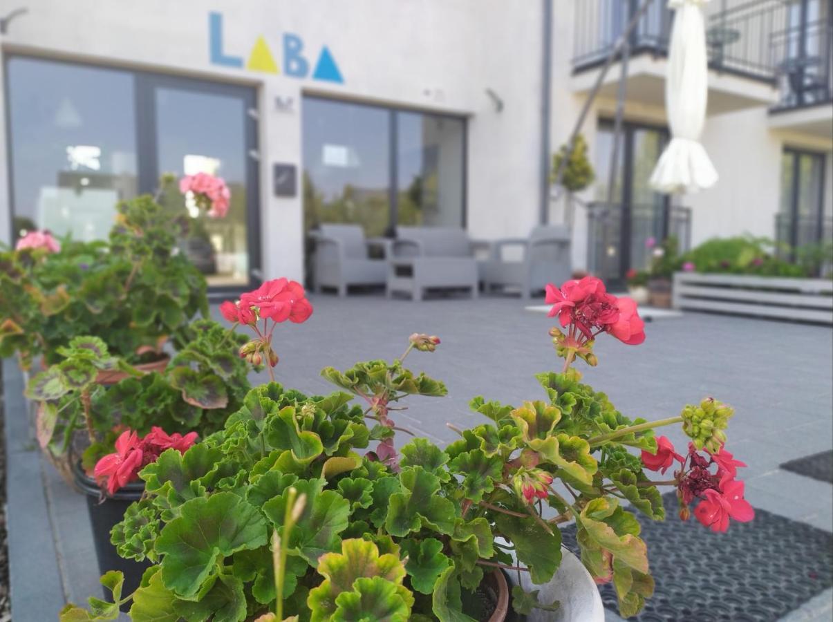 Laba Daire Jastrzębia Góra Dış mekan fotoğraf
